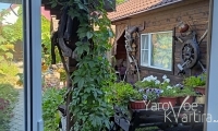 #1 Комната на территории базы отдыха в близи озера больше Яровое